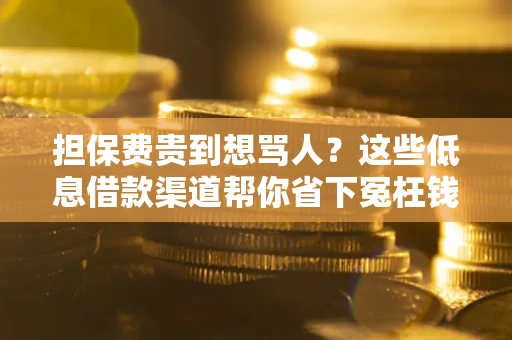 济南担保费贵到想骂人？这些低息借款渠道帮你省下冤枉钱