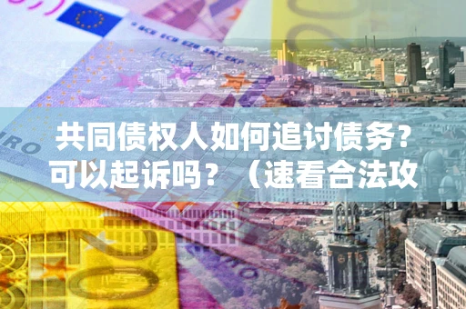 济南共同债权人如何追讨债务？可以起诉吗？（速看合法攻略）